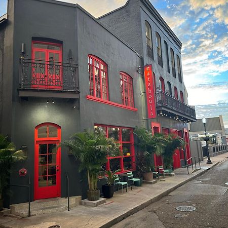 Catahoula Hotel New Orleans  Kültér fotó